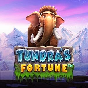 Tundra's Fortune screenshot